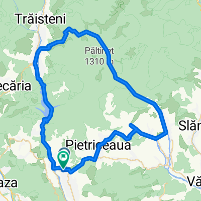 brebu-Betrea-Scurtesti-Valea Doftanei-brebu