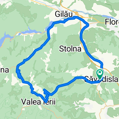 Savadisla Plopi Gilau