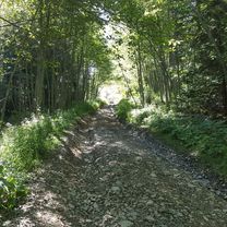 Photo 8 of the Bikemap route "Brașov - Câmpina via Valea Doftanei"