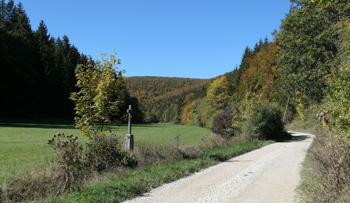 Foto 2 der Bikemap-Route "Durch das Pfaffental nach Schächer und zum Fürstenberg"