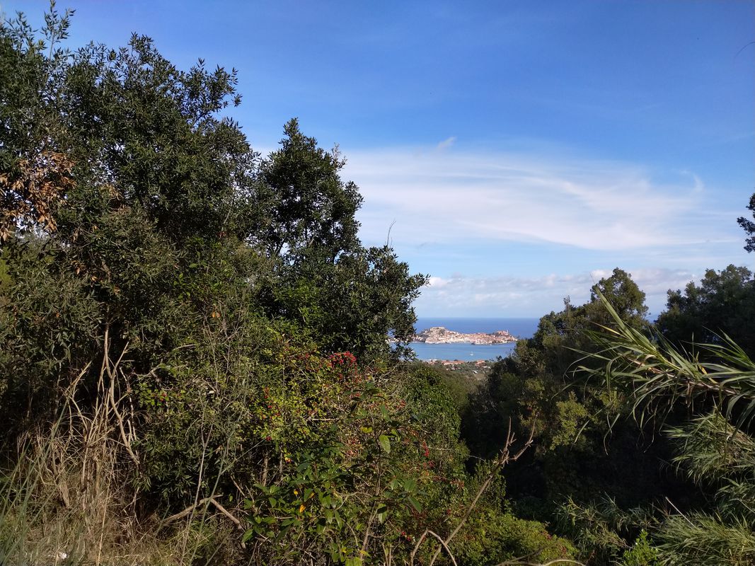 Rundfahrt Lacona