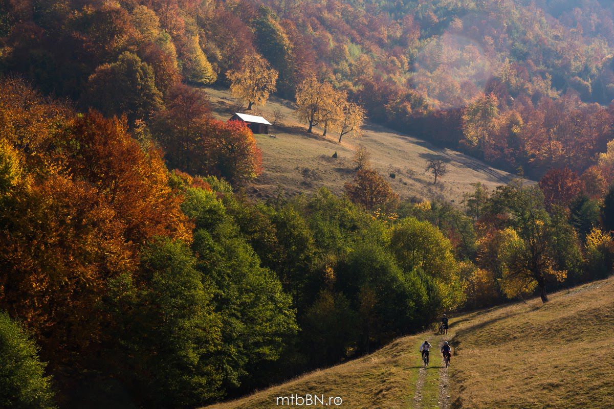 Circuit Valea Bârgăului