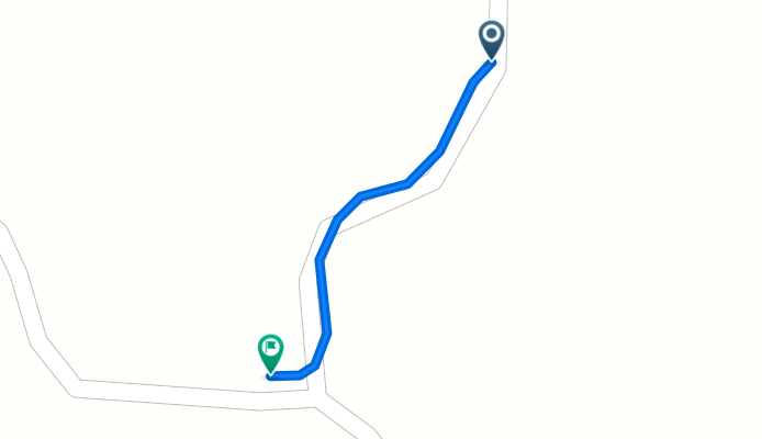 daily third root route