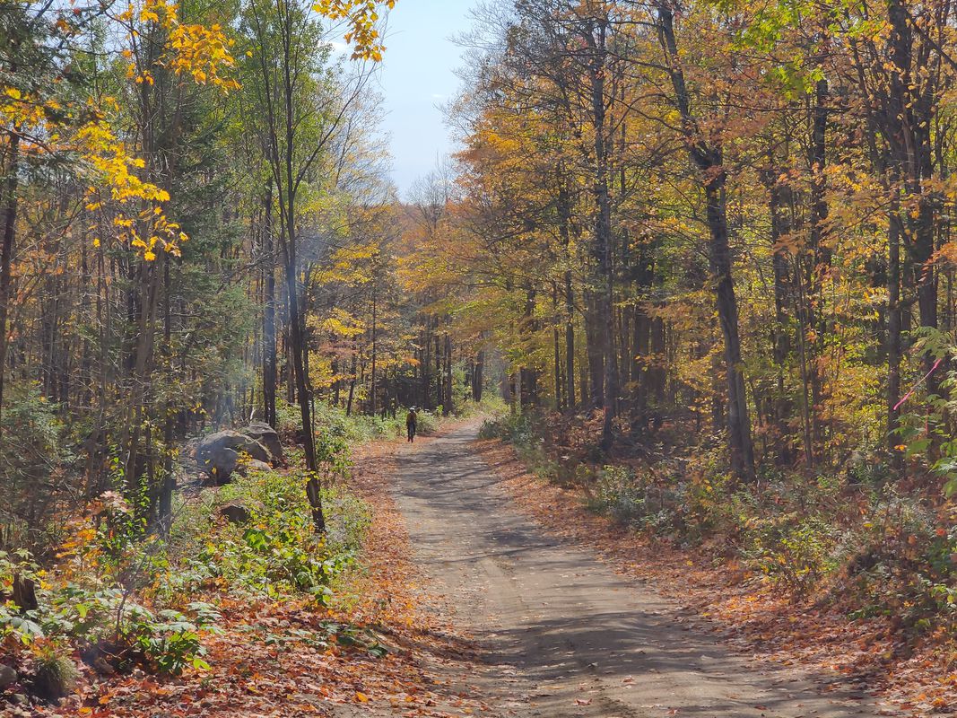 Route from Rue Tri Jean 19, Grenville