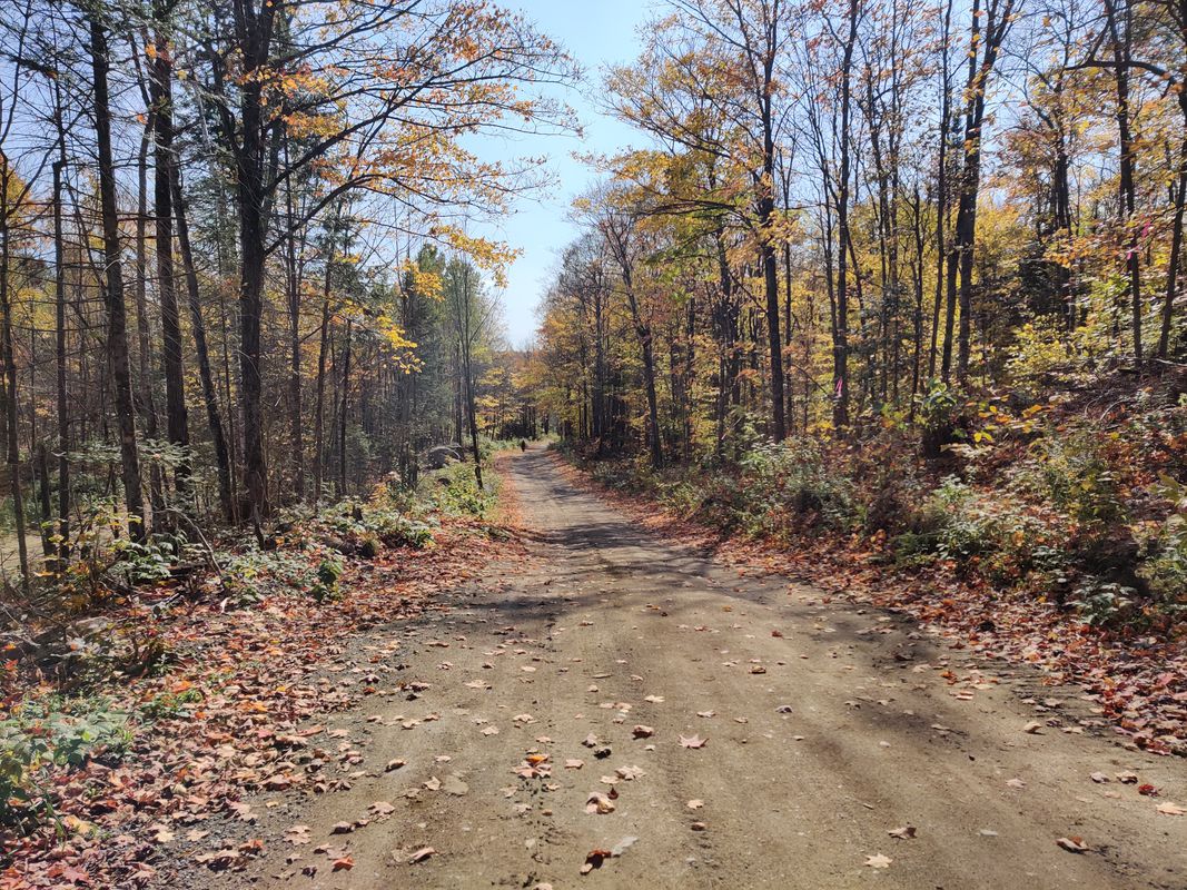 Route from Rue Tri Jean 19, Grenville