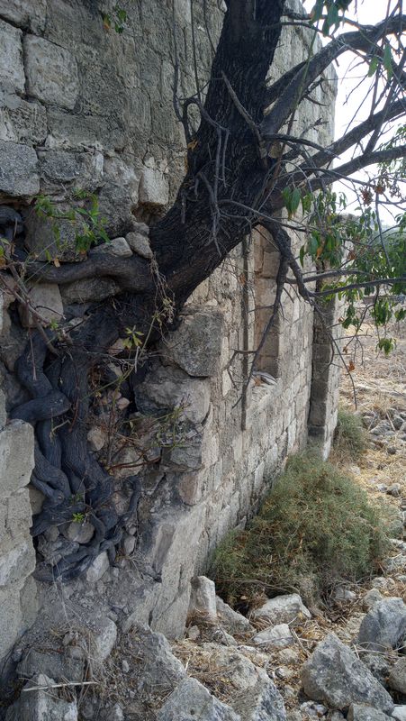 Shahaf Street 3, Gan Yavne to Shahaf Street 3, Gan Yavne