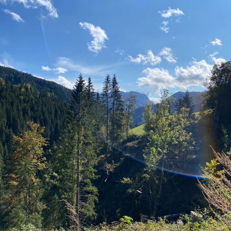 Center 142, Črna na Koroškem nach Lampreče 1, Črna na Koroškem