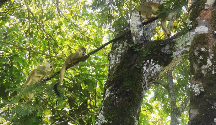 Photo 1 of the Bikemap route "De Via Hotel Wyndham Garden a Via Hotel Wyndham Garden"
