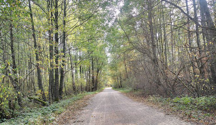Foto 1 der Bikemap-Route "2020 10 10 крошын-свіцязь-баранавічы"