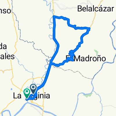micos, betulia