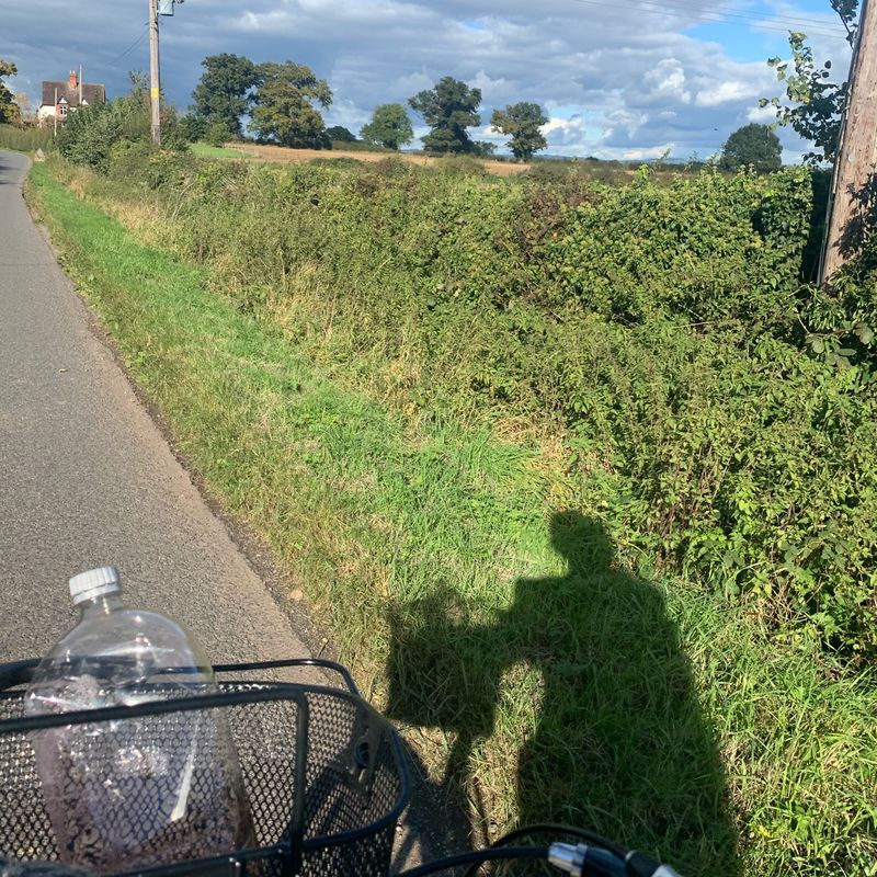 Recovered Route