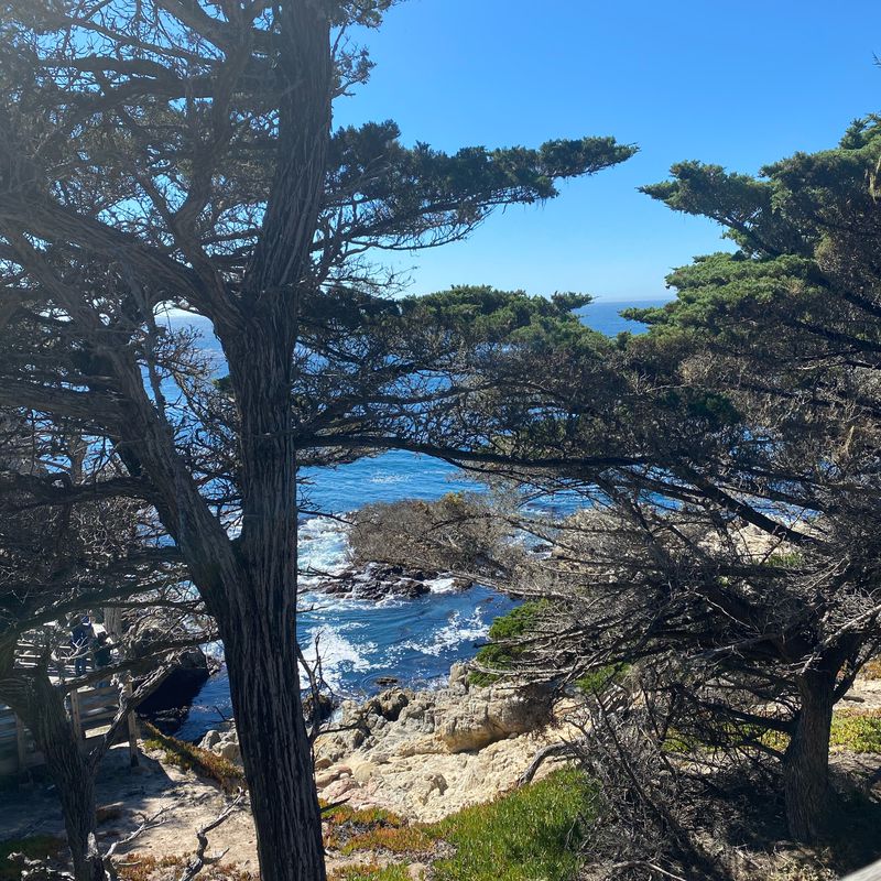1814–1832 Sunset Dr, Pacific Grove to 3224 17 Mile Dr, Pebble Beach
