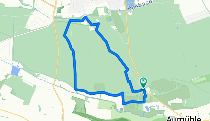 Wald beim Holiday-Park