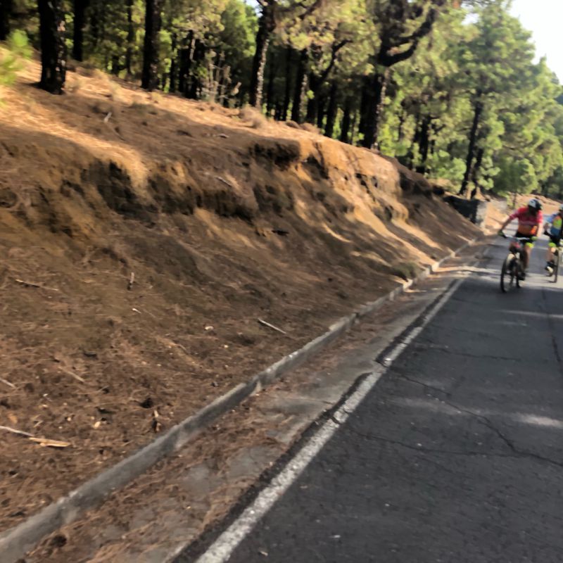 De Lugar Mata, El Pinar de El Hierro a Carretera Hoya del Morcillo, El Pinar de El Hierro
