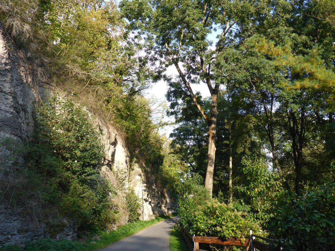 Hoch hinaus am Tag der Einheit