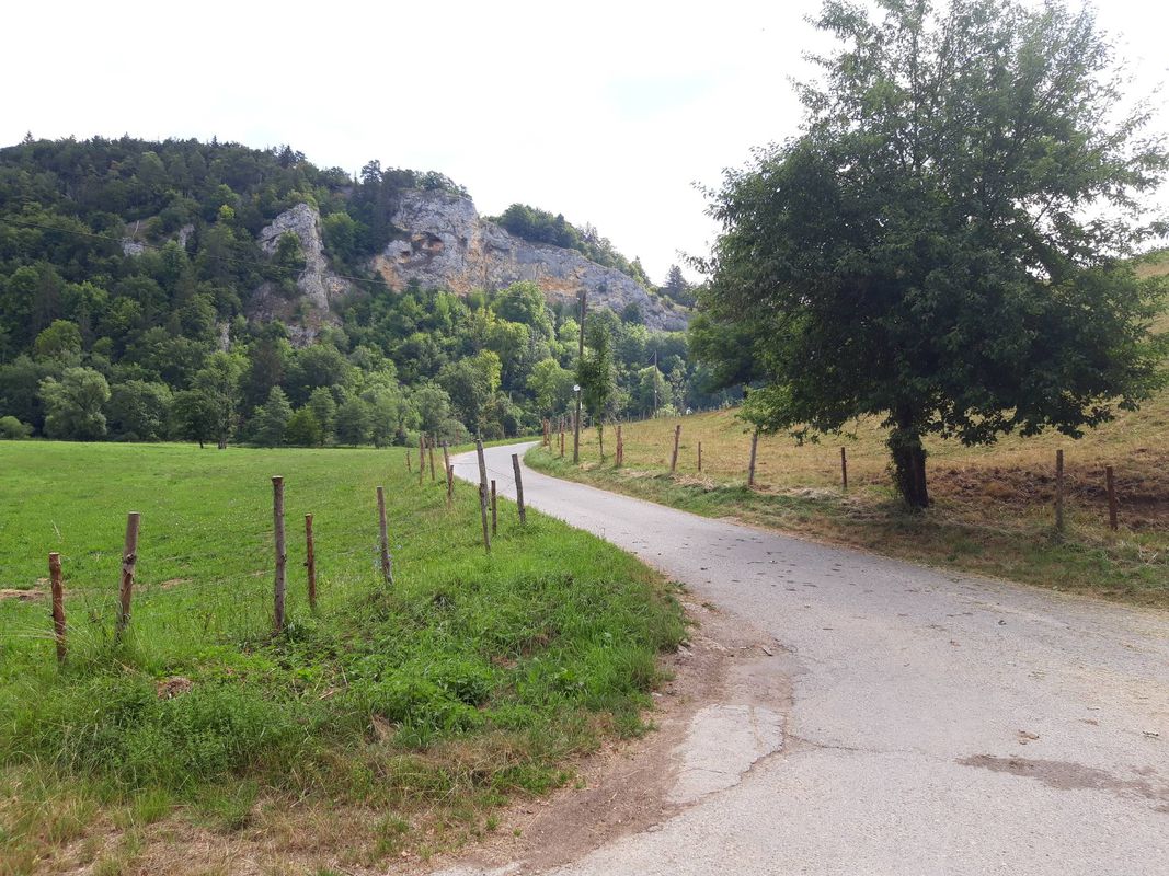 An der Donau woll'n wir fahren ...
