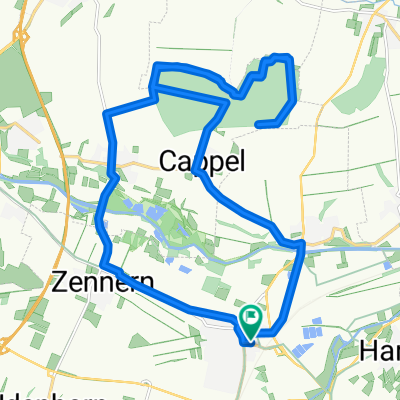 MTB 2010-09-01/2 Oberstes Holz