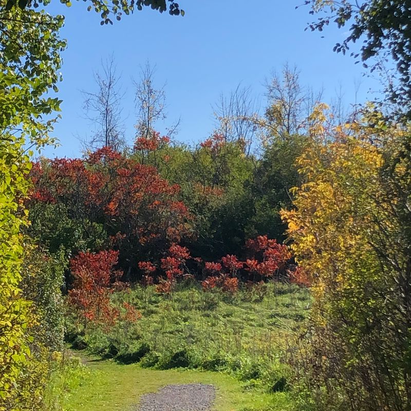 Route to 1083 Ambleside Dr, Ottawa