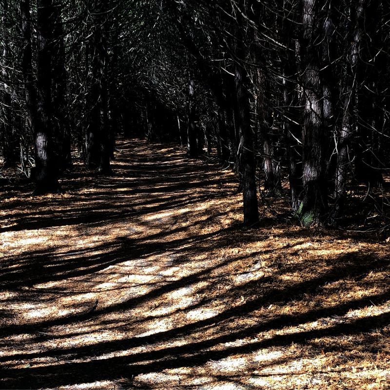 Route to 1083 Ambleside Dr, Ottawa