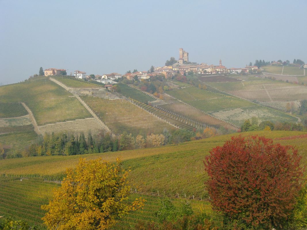 LANGHE 2: anello Alba – La Pedaggera – Serralunga d'Alba – Grinzane Cavour – La Morra – Barolo – Alba