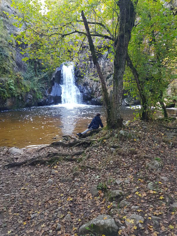 Gour Saillant