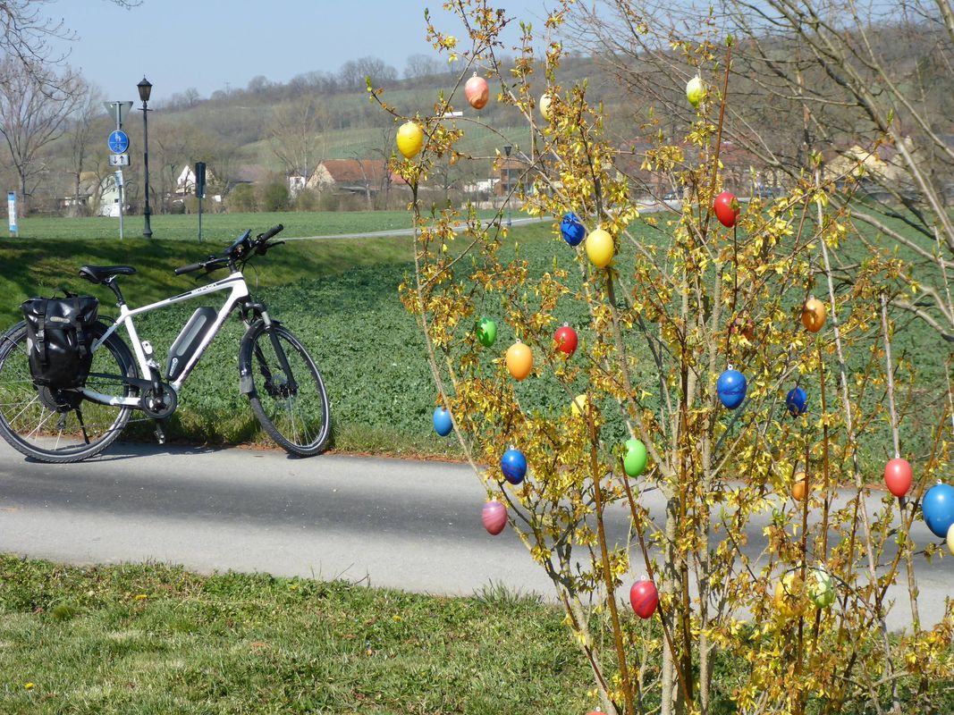 Ilm - Saale -Ilm - Unstrut (E-Bike)