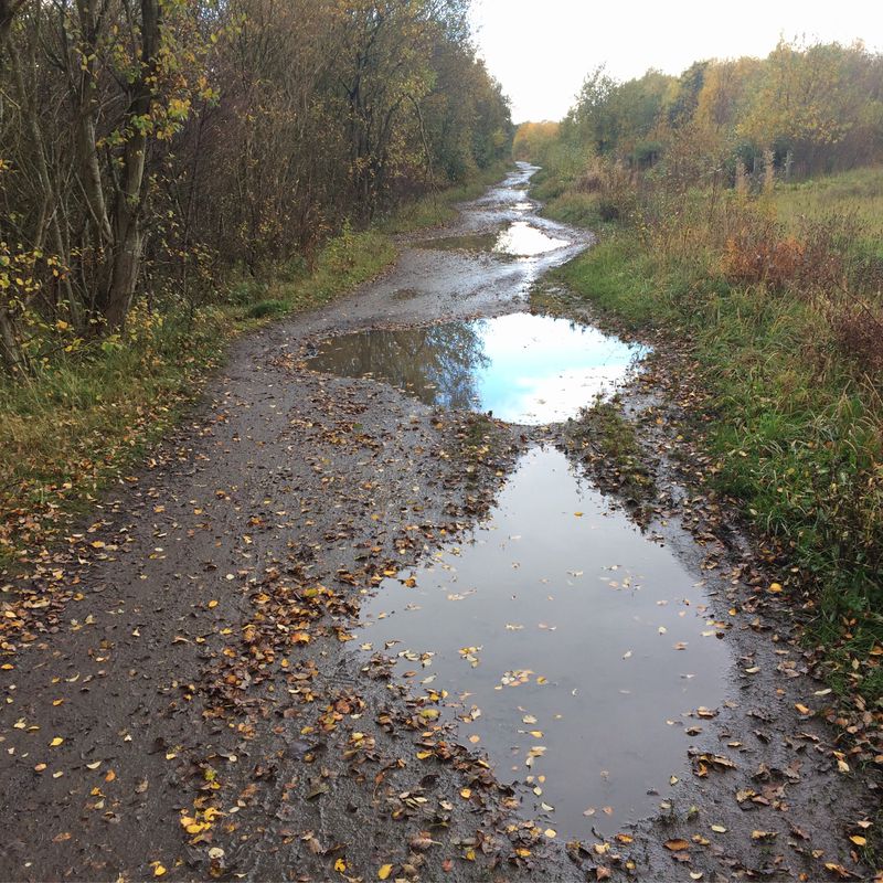 Route to 8 Alfred St E, Seaham