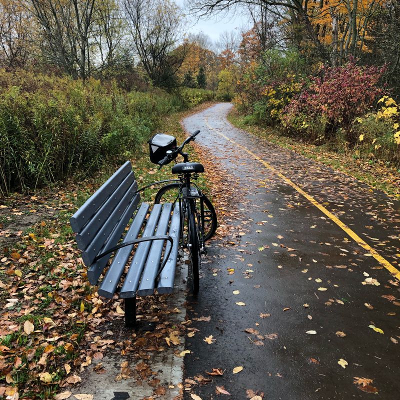 Waterfront Trail (Bowmanville to Newtonville Rd.) October 2020