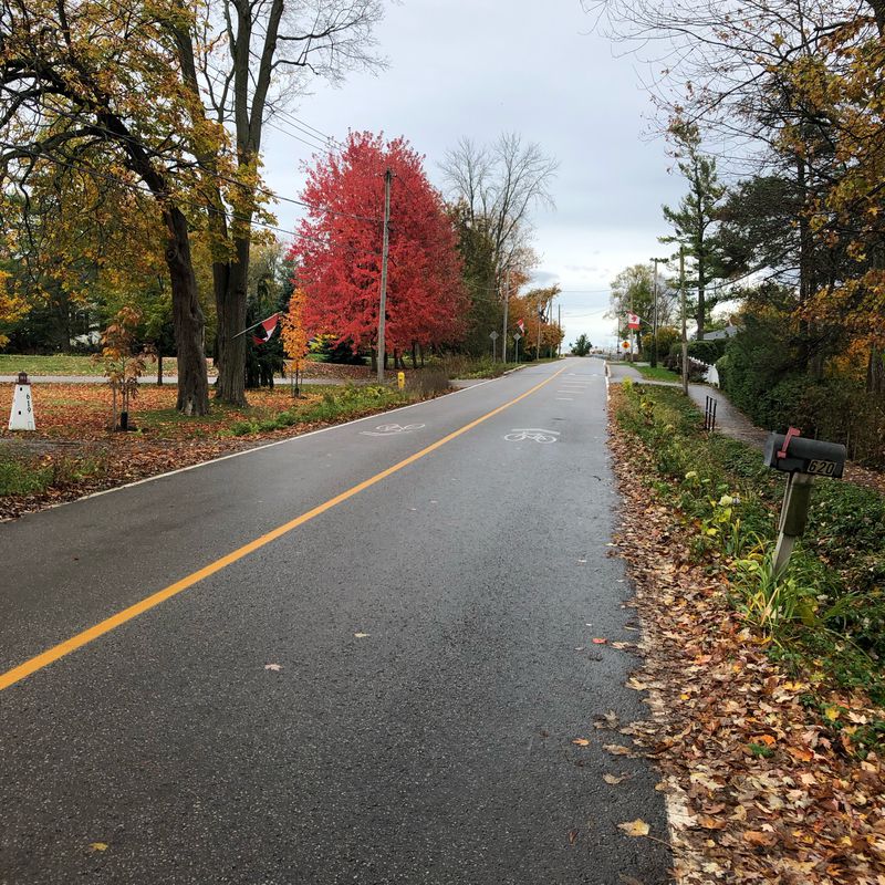 Waterfront Trail (Bowmanville to Newtonville Rd.) October 2020