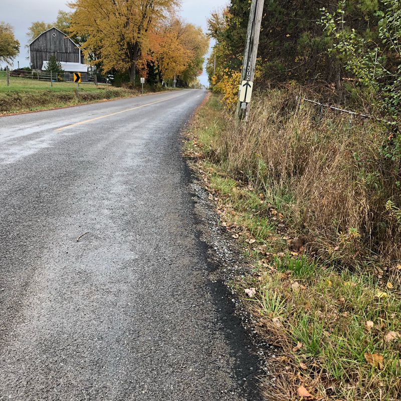 Waterfront Trail (Bowmanville to Newtonville Rd.) October 2020