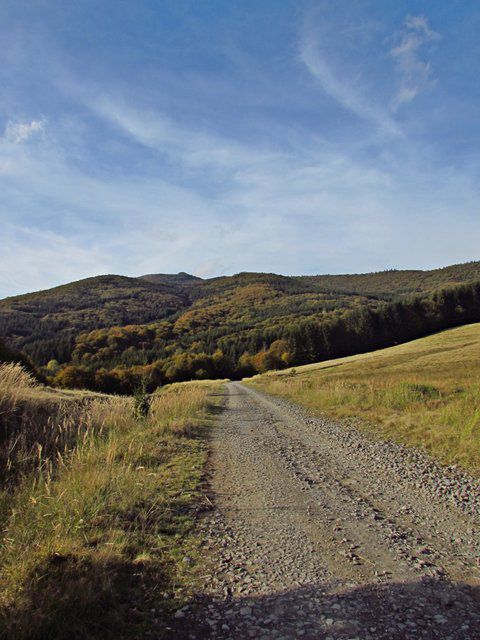 Bucla:Izvoare