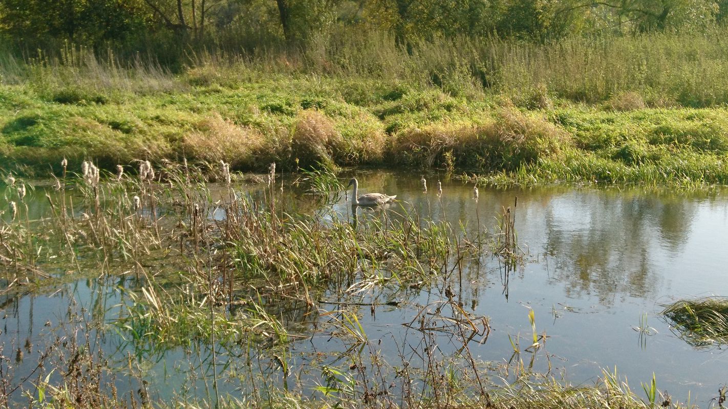 Urle - Wyszków - Serock - Warszawa (rowerem okolice Warszawy)