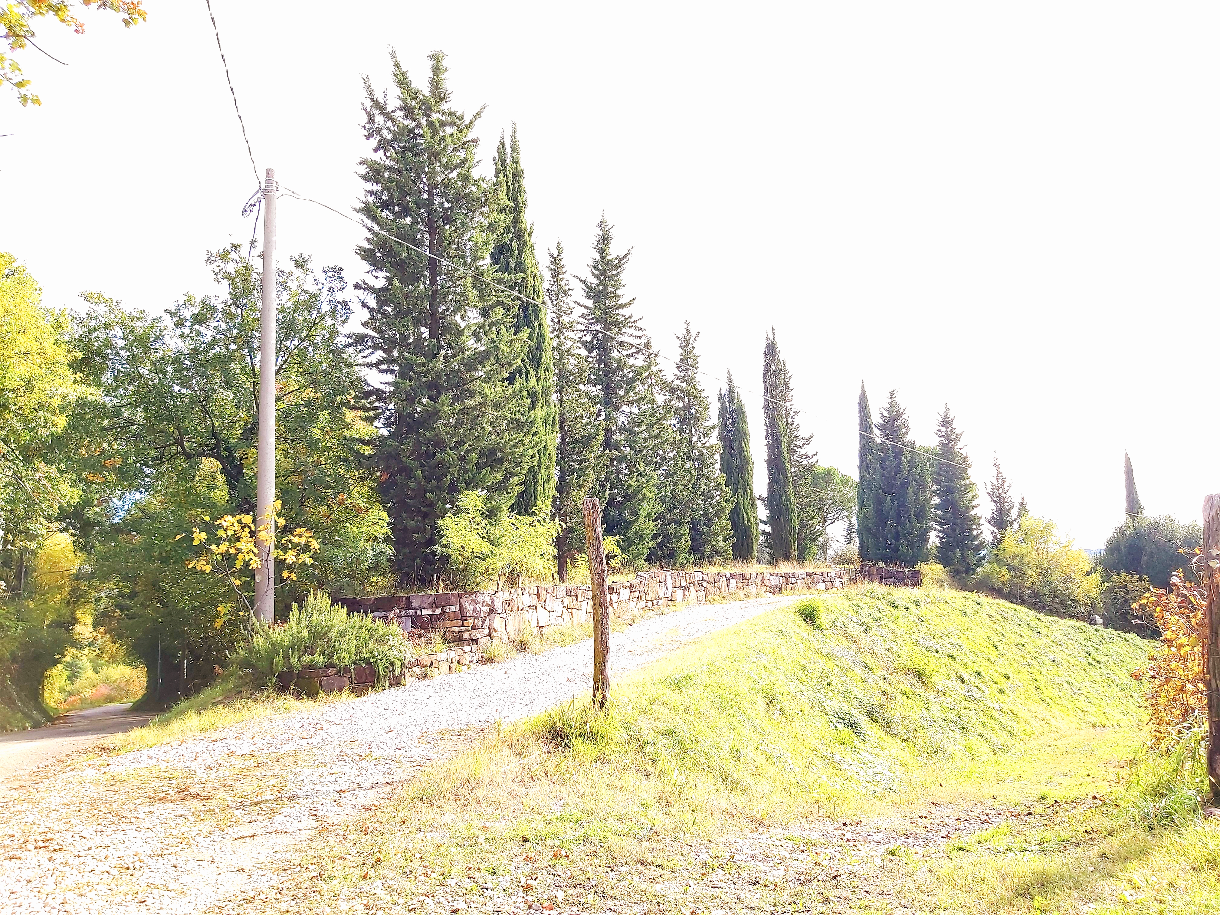 Giro ad anello per il Collio da Castello di Spessa