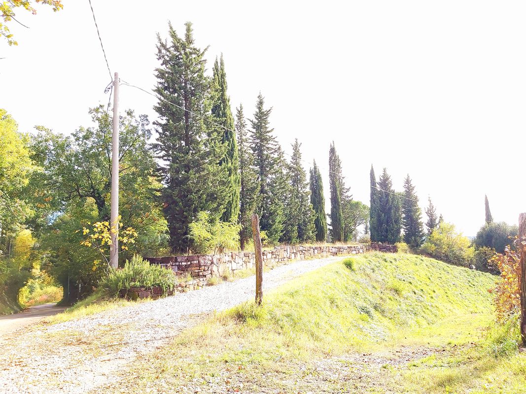 Giro ad anello per il Collio da Castello di Spessa