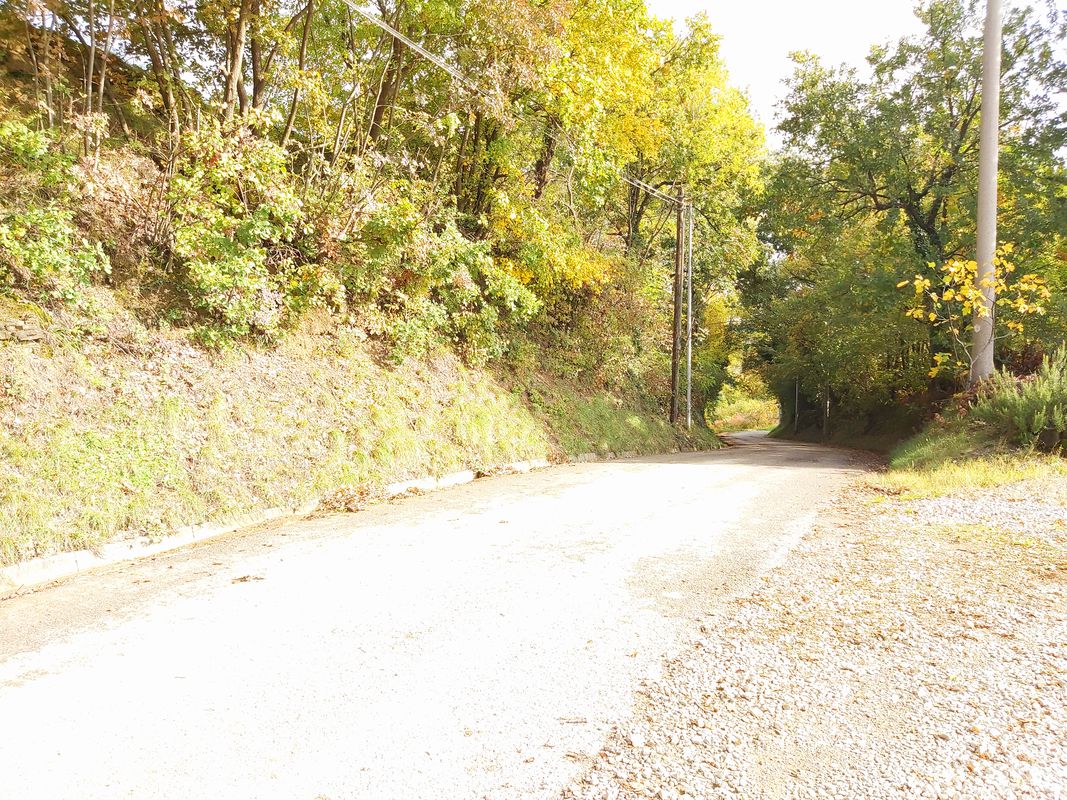 Giro ad anello per il Collio da Castello di Spessa
