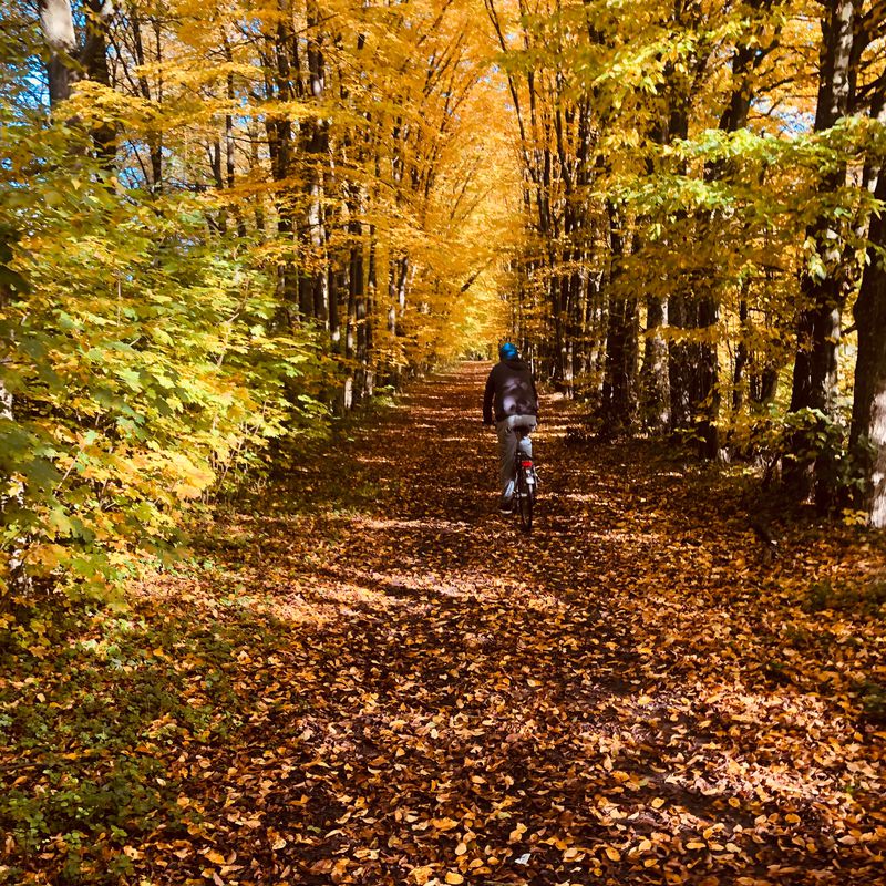 Mikołaja Kopernika 5B, Maków Mazowiecki do Mikołaja Kopernika 15, Maków Mazowiecki