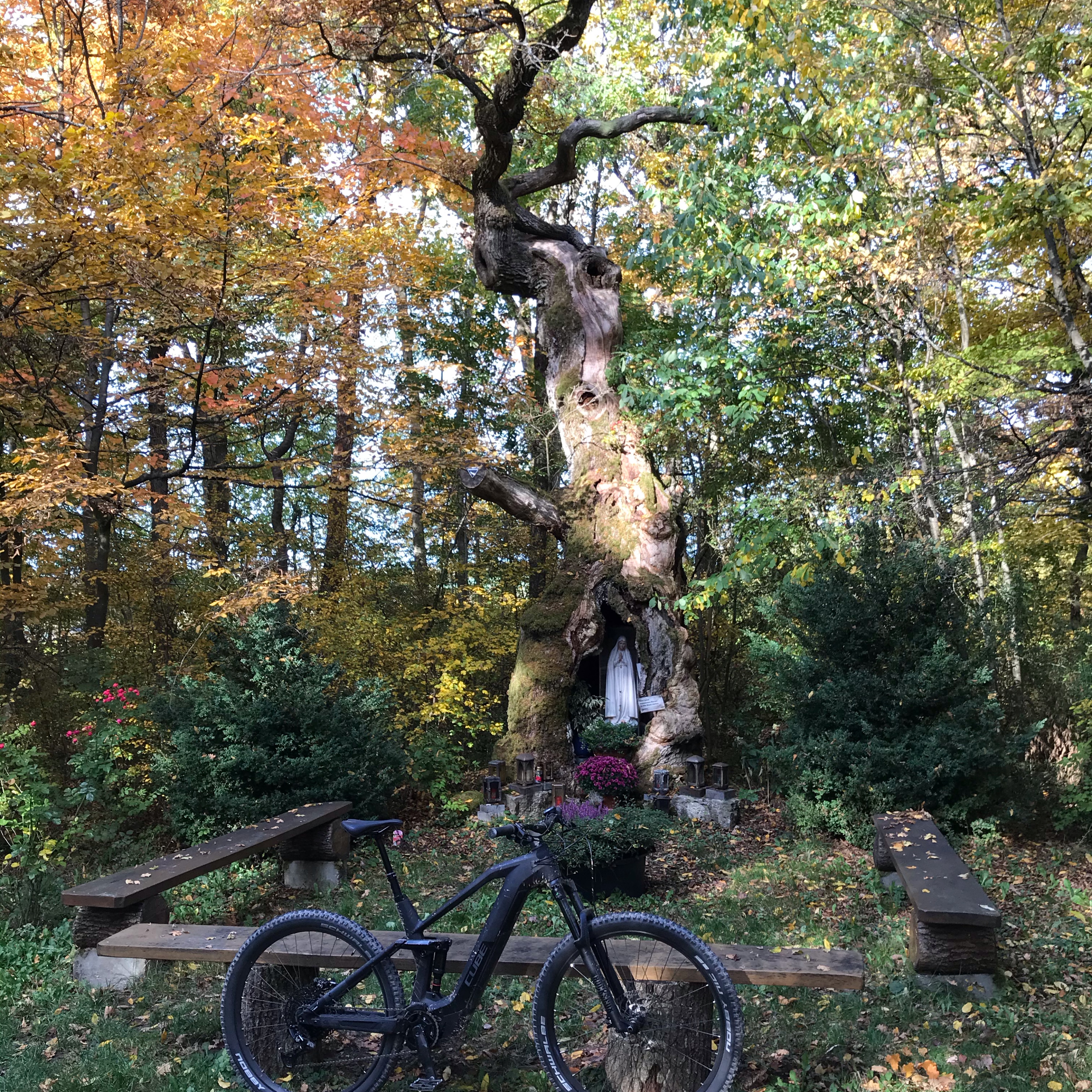 Ernsbach, Klosterwald, Hohe Straße, Bobachshof, Crispenhofen, Weißbach, Büschelfof, Forchtenberg