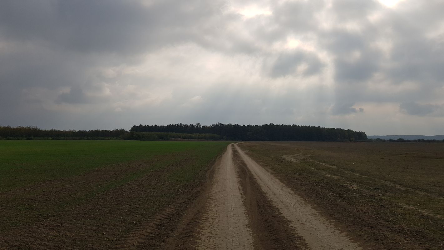 Strada Crinului, Sfântu Gheorghe to Strada Crinului, Sfântu Gheorghe