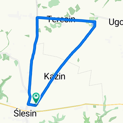 Kazińska 8, Ślesin do Kazińska 9, Ślesin