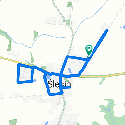Kazińska 7, Ślesin do Kazińska 7, Ślesin