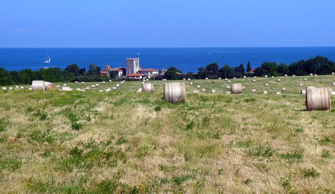 Photo 2 of the Bikemap route "ISTRA MTB Mirna"
