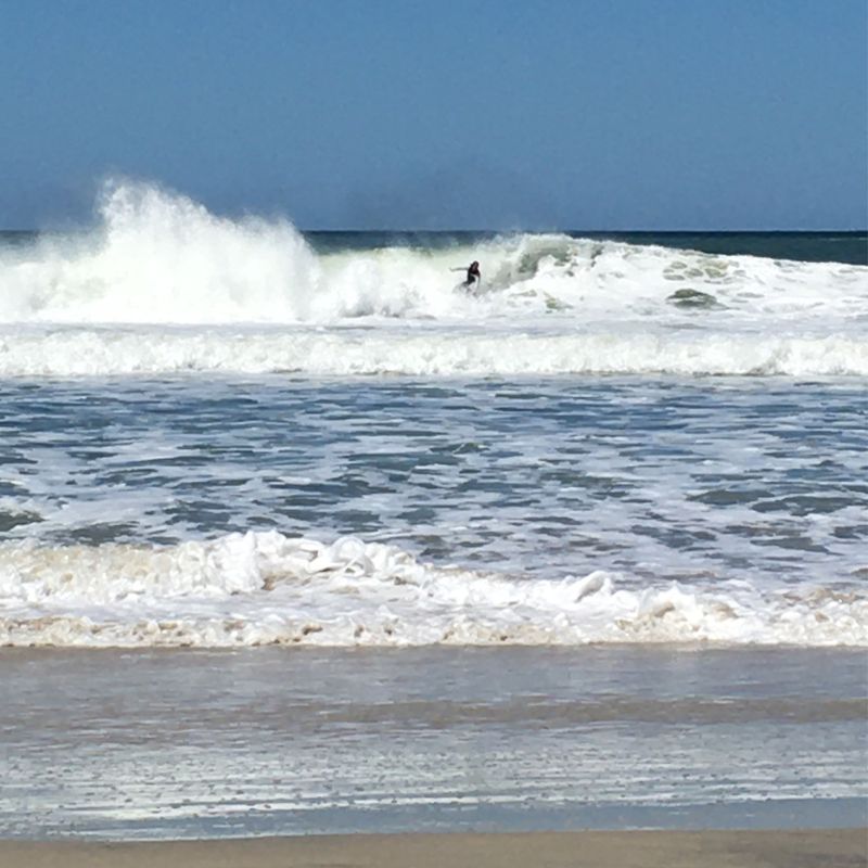 De Avenida Antônio Borges dos Santos, 153, Florianópolis a Servidão Sul da Ilha, 152, Florianópolis