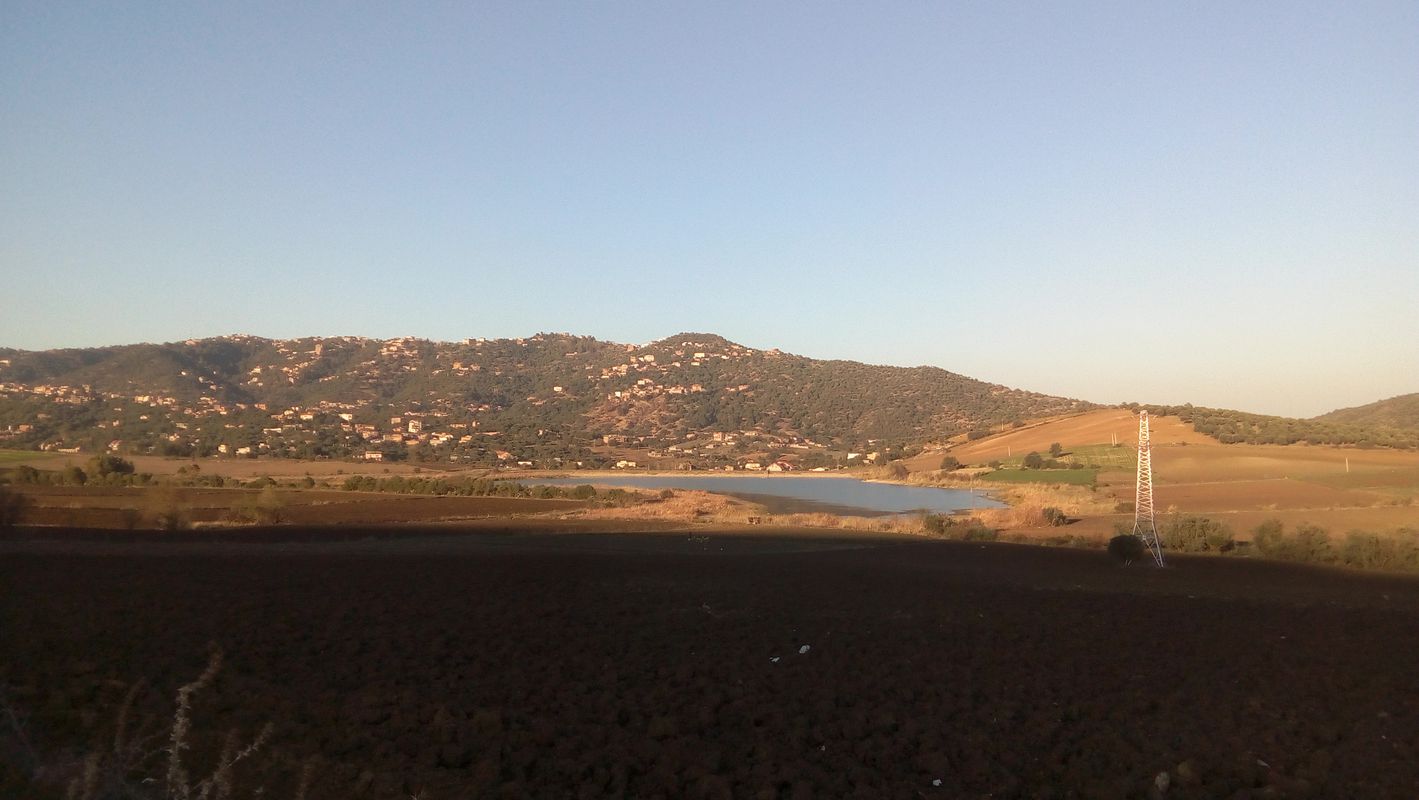 De Route de Tazrout, Draâ El Mizan à Route de Tazrout, Draâ El Mizan