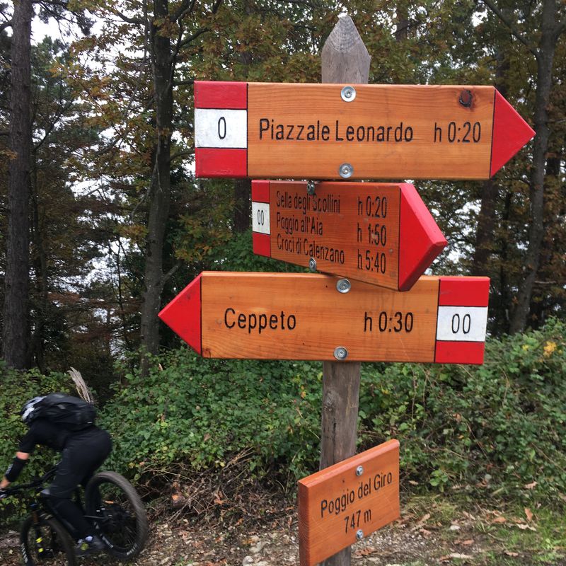 Monte Morello