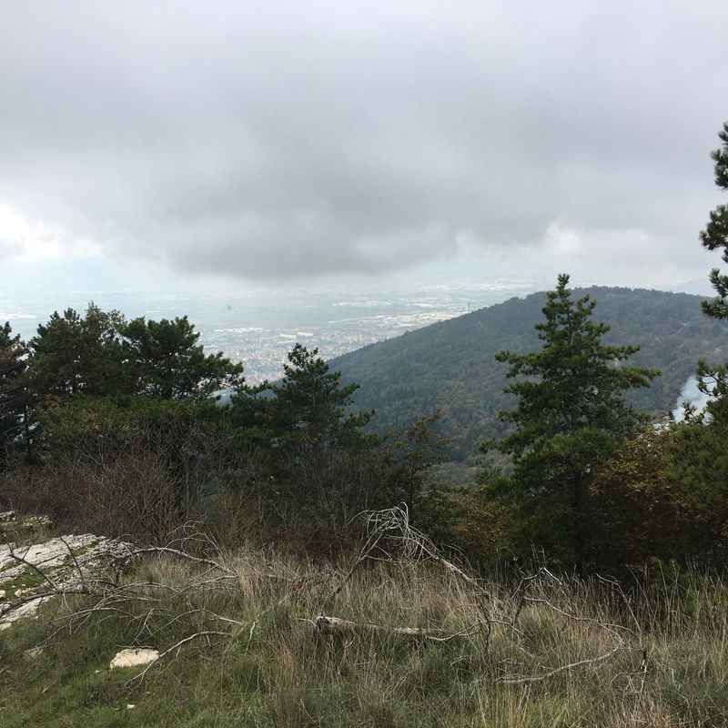 Monte Morello