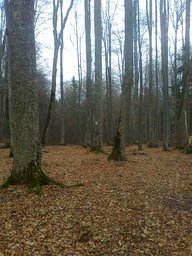 Punto saliente 2 lungo il percorso Bikemap "legatura poiana stanii -busteni"