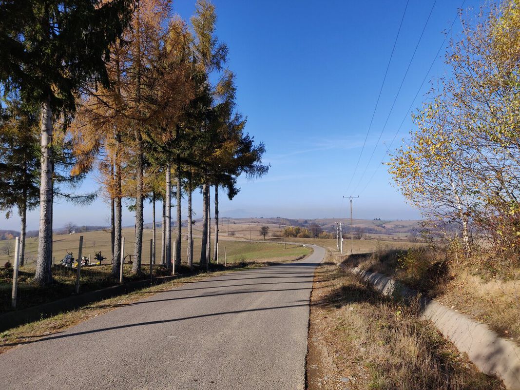 Borod - Alesd circuit