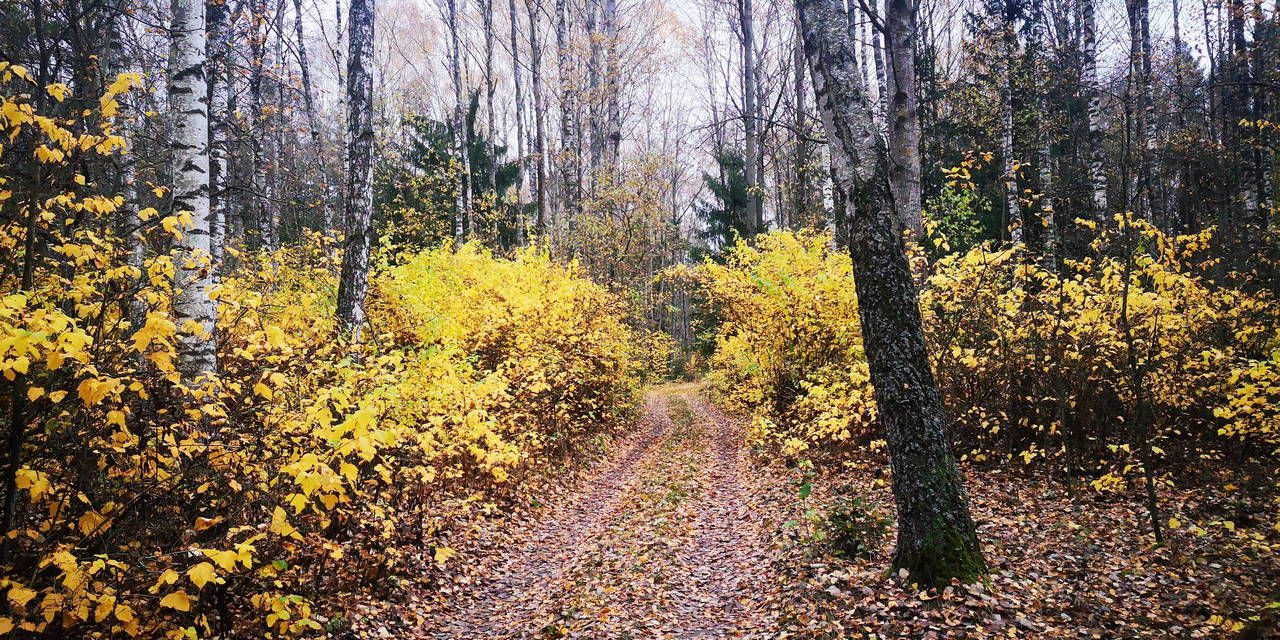 2020 10 31 strava xcm "Наднёманскі"