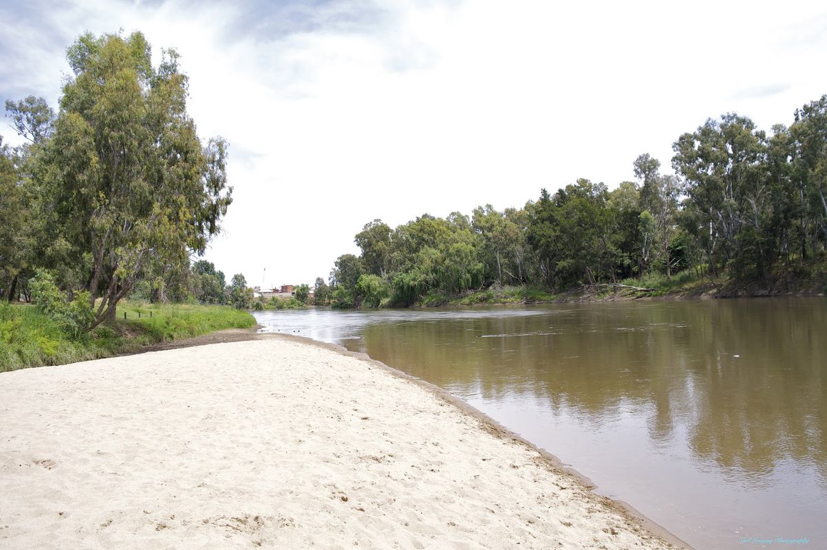 Coota to Junee CRASH