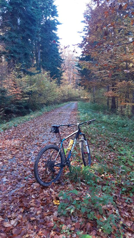 dimanche20201101
